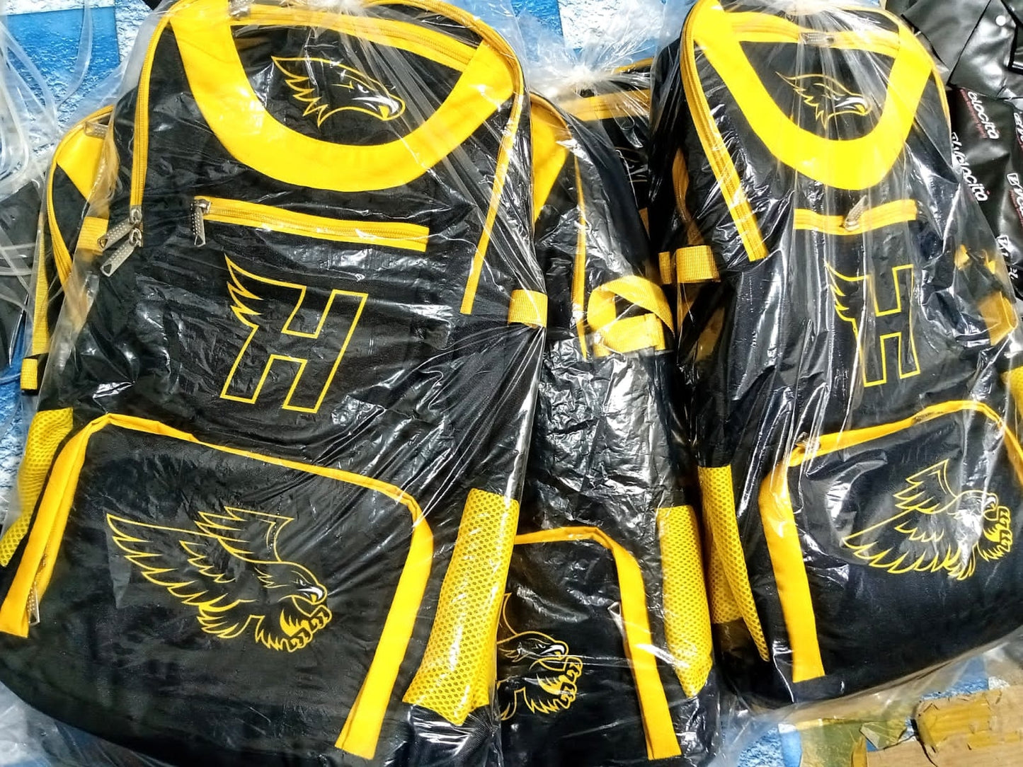 Blackhawk All Sport Backpack